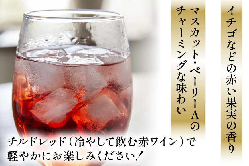 ワイン 赤 マスカット・ベーリーA ペングイナ 1本 [本坊酒造 マルス穂坂ワイナリー 山梨県 韮崎市 20745560] ふるさと納税 酒 お酒 シャトーマルス 赤ワイン 果実酒 ライトボディ 国産
