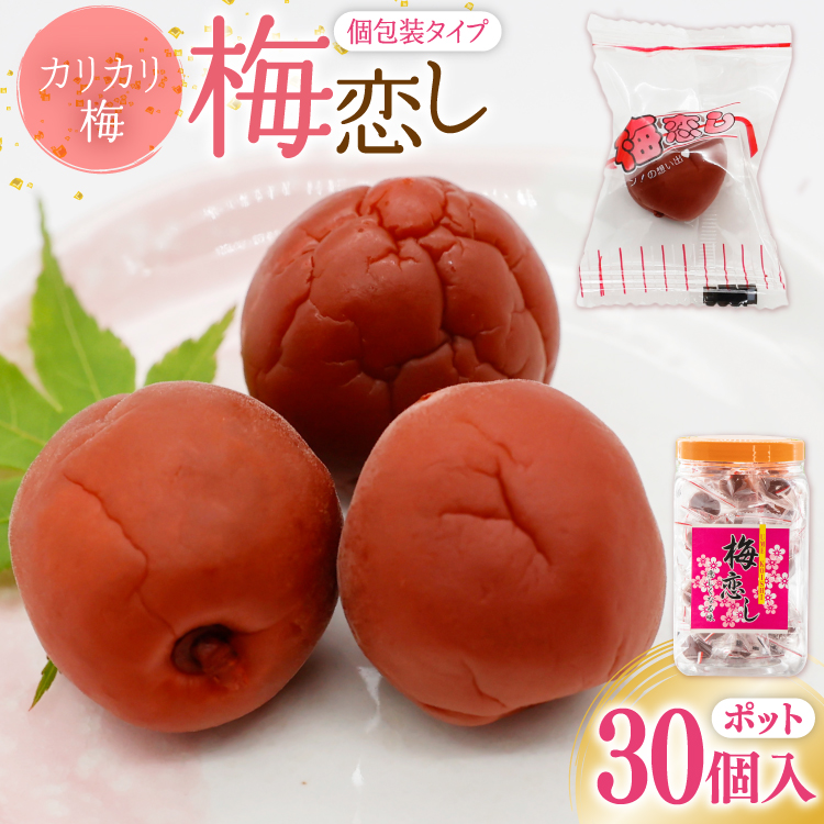 梅干し 梅恋しポット 30個入 [山梨農産食品 山梨県 韮崎市 20743520] 梅干 うめぼし 個包装 梅 漬物 つけもの おやつ おつまみ 熱中症予防