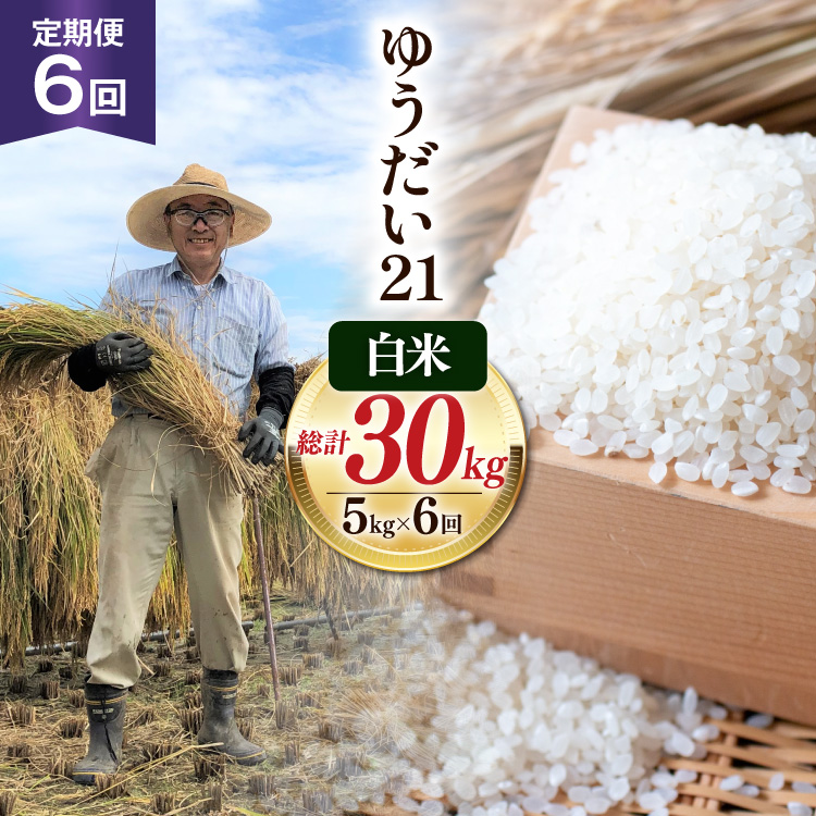 6回 定期便 米 令和8年産 白米 ゆうだい21 5kg×6回 計30kg [穂足農園合同 山梨県 韮崎市 20745232] お米 コメ ご飯 ごはん 山梨県産