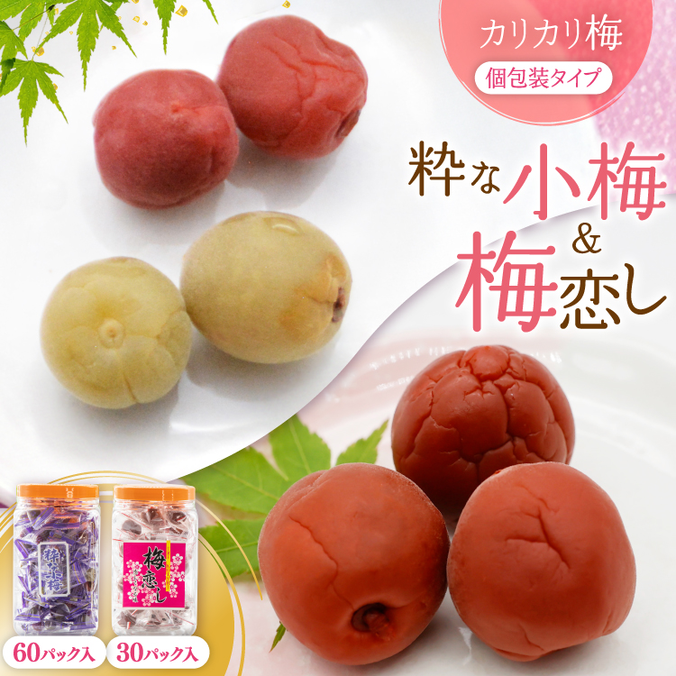 梅干し 粋な小梅ポット 60個入 & 梅恋しポット 30個入 [山梨農産食品 山梨県 韮崎市 20743522] 梅干 うめぼし 個包装 食べ比べ 梅 漬物 つけもの おやつ  おつまみ 熱中症予防