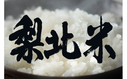 【定期便】【12回 米 定期便 】 武川米 コシヒカリ 5kg×12回 総計60kg [梨北農業協同組合 山梨県 韮崎市 20743673] こしひかり お米 おこめ こめ コメ 精米 60キロ ご飯 ごはん 白米 国産 JA梨北