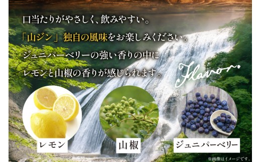 ジン 山ジン 700ml 12本 1箱 酒 お酒 洋酒 スピリッツ クラフトジン 蒸留酒 国産 カクテル JIN ソーダ割り GIN アルコール ロック ソーダ ジントニック 晩酌 送料無料 [サン.フーズ 山梨県 韮崎市 20743032]