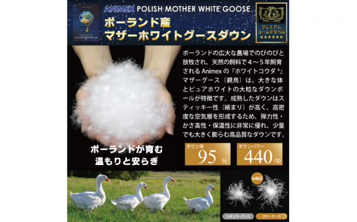 高級 軽量 羽毛布団 シングル 冬用 掛け布団 冬 本掛け ポーランド産 マザーグースダウン 95％ 1.2kg 440dp 80番手サテン 綿100％ (アリーチェブルー 青 柄 ) 6つ星 プレミアムゴールドラベル ANIMEX 掛布団 羽毛 布団 羽毛ふとん 羽毛掛け布団 日本製 抗菌防臭 ダウン ダウンケット [川村羽毛  山梨県 韮崎市 20743607]