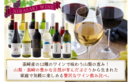 韮崎産 赤白スパークリング12本 お得な飲み比べセット 750ml ×11本 720ml ×1本 [株式会社まあめいく 山梨県 韮崎市 20745323] ワイン Wine わいん 赤ワイン 白ワイン 飲み比べ セット お酒 酒 山梨ワイン 甲州 スパークリング