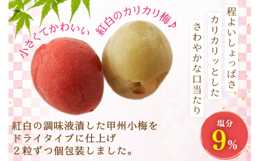 【やばいだろ】粋な小梅 2粒×60 計120粒 [山梨農産食品 山梨県 韮崎市 20743177] 梅干し 梅干 うめぼし 梅 小粒 小梅 カリカリ梅 国産 個包装