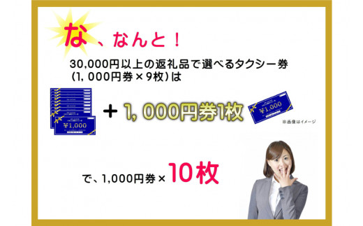 【韮崎・北杜市で使える】お出かけタクシー券 1,000円×10枚 [山梨県タクシー協会峡北支部 山梨県 韮崎市 20740646]