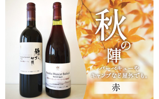 ワイン 赤 赤ワイン おまかせ マルスワイン 2本 セット ソムリエセレクト 日本ワイン 〜秋の陣〜 秋 熟成 贈答 贈り物 ルージュ シャトーマルス 山梨ワイン 山梨 Wine わいん お酒 酒 山梨  山梨県 洋酒 果実酒 季節のワイン [本坊酒造 マルス穂坂ワイナリー 山梨県 韮崎市 20743115]