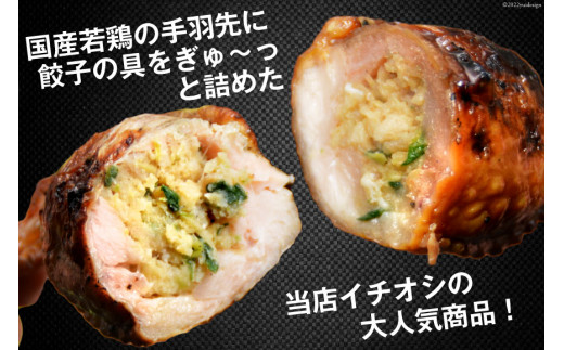 焼鳥のやまもと 特製 炭火焼手羽先餃子 たれ10本・塩コショウ10本 約1.3kg [山本食肉 山梨県 韮崎市 20743412] 手羽先餃子 手羽餃子 手羽先 餃子 鶏肉 チキン おかず おつまみ ビールのおとも コラーゲン かんたん 冷凍