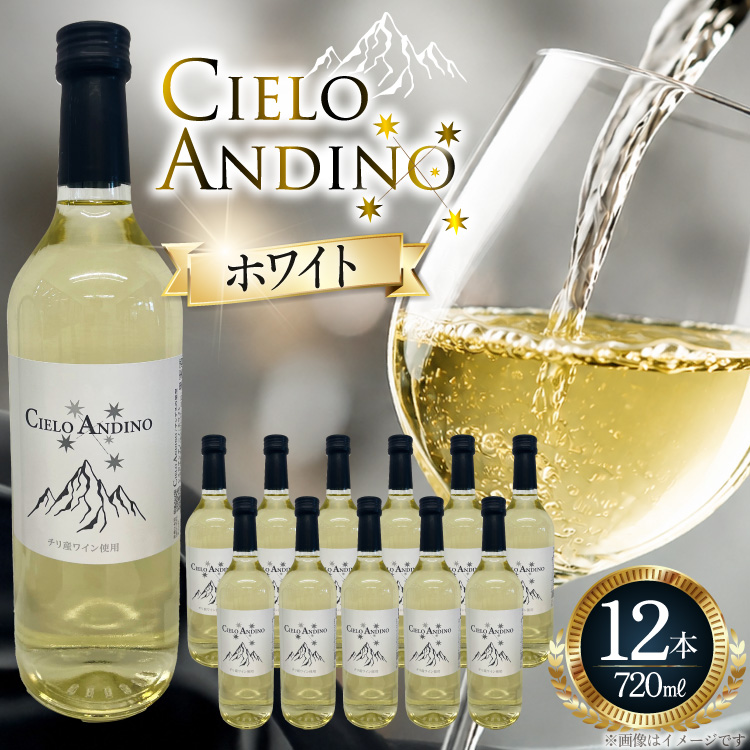 ワイン 白 シエロアンディーノ・ホワイト 720mL×12本 [株式会社カサ・ピノ・ジャパン 山梨県 韮崎市 20745578] 白ワイン 12本 セット まとめ買い 大容量 デイリーワイン テーブルワイン チリ産 普段飲み 宅飲み お酒 蔵元 洋酒