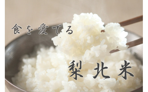 米 【定期便 12回 】梨北米 コシヒカリ 5kg 12回 総計 60kg こしひかり コシヒカリ お米 おこめ こめ コメ 精米 61キロ ご飯 ごはん 白米 お弁当 国産 JA 梨北 山梨 [梨北農業協同組合 山梨県 韮崎市 20743674] 