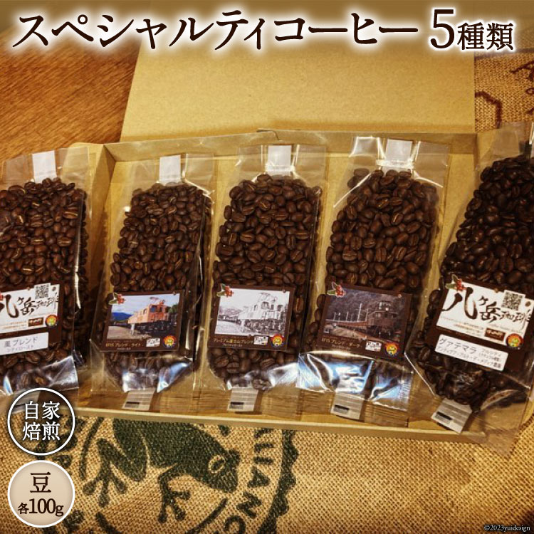 コーヒー EF15 スペシャルティコーヒー 豆 100g×5種類 計500g [アフターゲームカフェ 八ヶ岳珈琲 山梨県 韮崎市 20742288-1] 珈琲 コーヒー豆 珈琲豆 自家焙煎 焙煎 セット