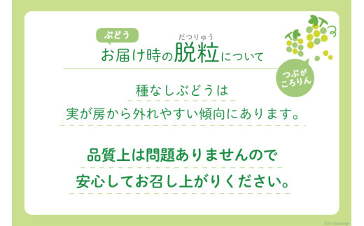 【2026年発送】 シャインマスカット 予約 山梨 マスカット シャイン ブドウ ぶどう 葡萄 種無し 2.5kg 3〜 6房 朝採れ 朝どれ 山梨県産 フルーツ 果物 2.5キロ 高品質 厳選 産地直送 季節限定 数量限定 期間限定発送 [OUTTA REACH JAPAN 山梨県 韮崎市 20742861]