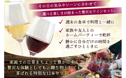 韮崎産 赤白スパークリング12本 お得な飲み比べセット 750ml ×11本 720ml ×1本 [株式会社まあめいく 山梨県 韮崎市 20745323] ワイン Wine わいん 赤ワイン 白ワイン 飲み比べ セット お酒 酒 山梨ワイン 甲州 スパークリング