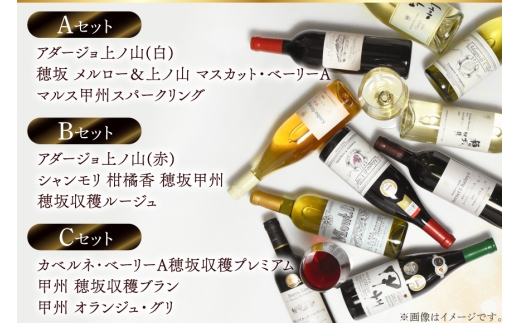 【3回定期便】NS-0012 韮崎ワイナリー赤白ワイン 750ml 3本 3ヶ月 計9本 [韮崎翠緑 山梨県 韮崎市 20745304] ワイン 山梨 ワインセット お酒 酒 飲み比べ 飲み比べセット 詰め合わせ 赤 白 定期便