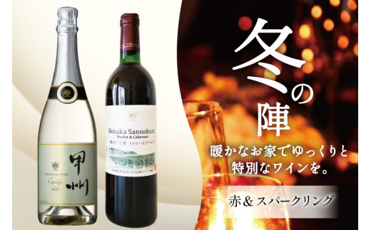 ワイン 赤 スパークリング おまかせ マルスワイン2本セット 〜冬の陣〜 [本坊酒造 マルス穂坂ワイナリー 山梨県 韮崎市 20742335] 赤ワイン スパークリングワイン 長期熟成 冬のワイン シャトーマルス