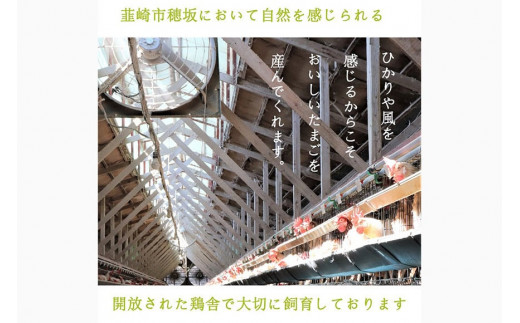 卵 こだわり卵 穂坂のあかたま 10個 3パック 計30個 [ハイチック 山梨県 韮崎市 20745485] たまご タマゴ あかたま あかいろ エコパック かわいい