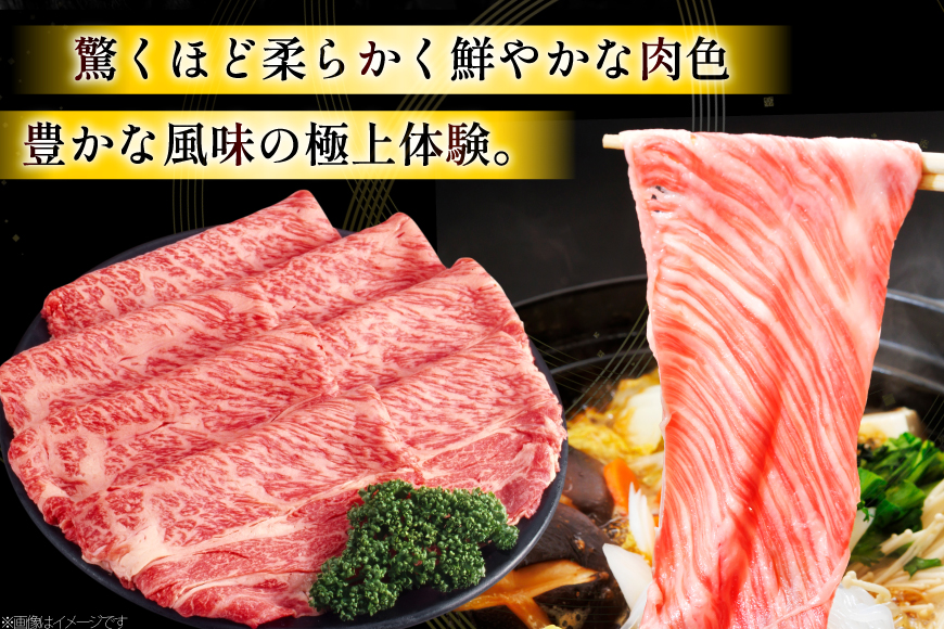 甲州牛 黒毛和牛 肩ローススライス 800g [全国農業協同組合連合会 山梨県本部 山梨県 韮崎市 20745494] セット肉 お肉 にく ニク 牛 牛肉 ロース すき焼き しゃぶしゃぶ 肉じゃが 冷凍