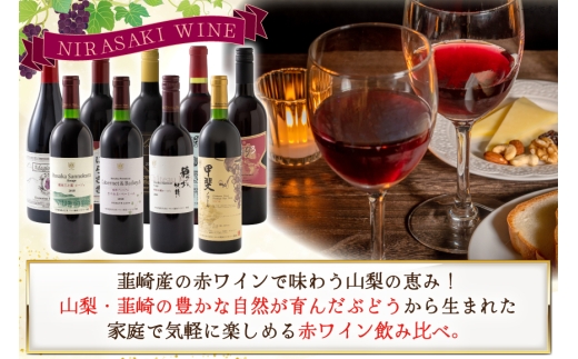 ワイン 赤ワイン好き必見！ 韮崎産 赤ワイン 9本 飲み比べ セット 750ml 8本 720ml 1本 [株式会社まあめいく 山梨県 韮崎市 20745325] ワイン Wine わいん 飲み比べセット お酒 酒 山梨ワイン セット