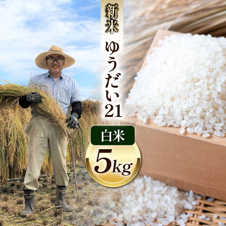 米 令和8年 ゆうだい21 白米 お米 5kg [穂足農園 山梨県 韮崎市 20745225] お米 ご飯 ごはん こめ コメ 美味しい 5キロ