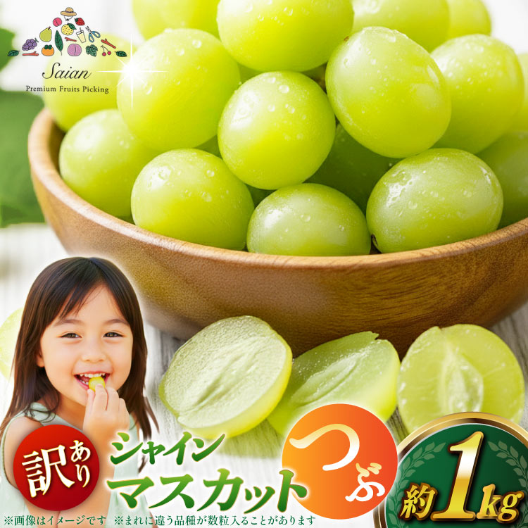 【2026年発送】シャインマスカット 訳あり家庭用 粒 にてお届け 約1kg 山梨県産 冷蔵発送 果物 フルーツ 山梨 ぶどう マスカット ブドウ 葡萄 規格外 期間限定 季節限定 冷蔵  山梨 [斎庵 山梨県 韮崎市 20745284]