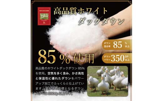 【春夏用】洗える羽毛布団 羽毛布団 ダブル 肌掛け 肌掛け布団 ダウン 夏 春 ホワイトダックダウン 85% 0.5kg (無地 アイボリー)ダウンケット 羽毛 布団 ふとん 肌掛 掛け布団 寝具 夏用 春用 日本製 国産 抗菌防臭 無地 ダニプルーフ 花粉フリー 柔軟加工 コインランドリー [川村羽毛 山梨県 韮崎市 20745031]