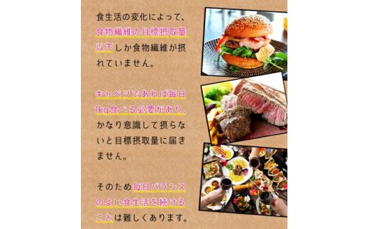 国内製造 サイリウムハスク(オオバコ) 600g 食物繊維 パウダー ダイエット 健康 スーパーフード 健康食品 [ツルヤ化成工業 山梨県 韮崎市 20745046] メール便