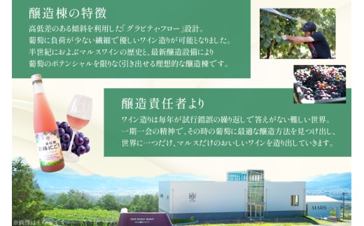 ワイン ロゼ 甘口 一番収穫 巨峰 にごり 500ml 1本 マルスワイン ロゼワイン わいん お酒 酒 Wine セット 山梨 国産 洋酒 アルコール度 8％ 果実酒 季節のワイン [本坊酒造 マルス穂坂ワイナリー 山梨県 韮崎市 20742240] 