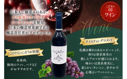 ワイン 赤 シエロアンディーノ・レッド 720ml 12本 セット [カサ・ピノ・ジャパン 山梨県 韮崎市 20745347] ワインセット 山梨 酒 お酒 赤ワイン アルコール ぶどう 果実酒