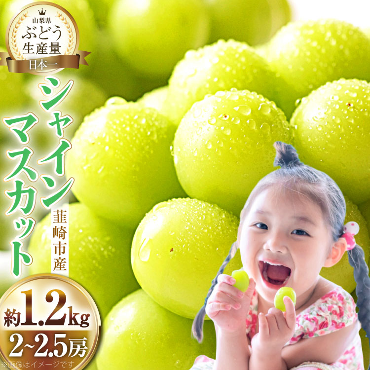 シャインマスカット 先行予約 約1.2kg (2〜2.5房) 【2027年発送】 [梨北農業協同組合 山梨県 韮崎市 20742921] 冷蔵発送 ぶどう フルーツ 果物 くだもの ブドウ 葡萄 種なし 1.2キロ 甘い 期間限定 季節限定 JA 厳選 山梨県産