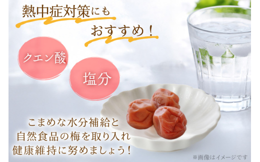 【やわらか】信玄の薬膳小梅干 200g×2 [山梨農産食品 山梨県 韮崎市 20743181] 梅干し 梅干 うめぼし 梅 小粒 小梅 国産