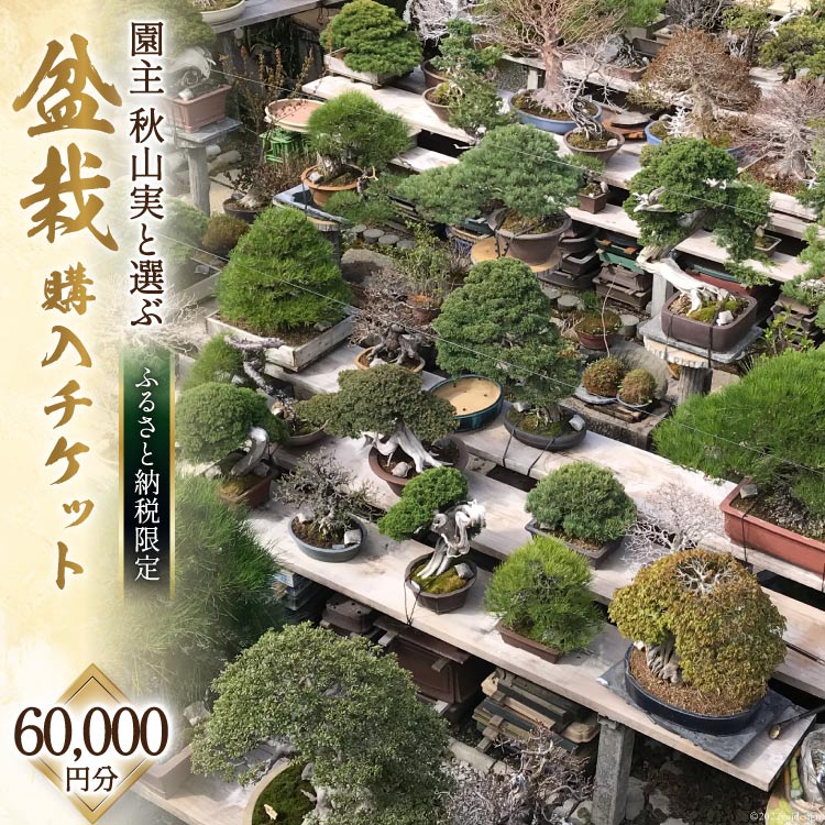 【ふるさと納税限定】盆栽 ぼんさい 鉢 園主 「秋山実」と選ぶ 盆栽購入 チケット 60,000円分 限定 セレクト 芸術 自然 [秋山園 山梨県 韮崎市 20740912]