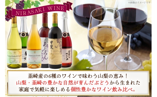 個性豊かな韮崎産赤白ロゼスパークリング6種 飲み比べセット [株式会社まあめいく 山梨県 韮崎市 20745326] ワイン Wine わいん 白ワイン 飲み比べセット お酒 酒 山梨ワイン セット