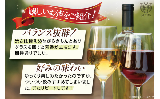 ワイン 定期便 セット 12回 12本 赤ワイン 白ワイン 赤 白 毎月 おまかせ 飲み比べ ソムリエ セレクト 山梨ワイン 日本ワイン マルスセレクト スパークリングワイン 本坊酒造 [マルス穂坂ワイナリー 山梨県 韮崎市 20743307]