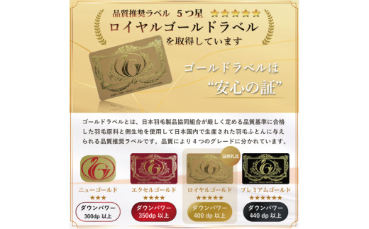 【春夏用】洗える 羽毛布団 羽毛布団 ダブル 肌掛け肌掛け布団 ダウン 夏 春 ホワイトダックダウン 93% 0.5kg ブラウン ダウンケット 羽毛 布団 うもう布団 ふとん 肌掛 掛け布団 掛布団 寝具 夏用 春用 日本製 国産 抗菌防臭 無地 ダニプルーフ 花粉フリー 柔軟加工 送料無料 コインランドリー [川村羽毛 山梨県 韮崎市 20745032]