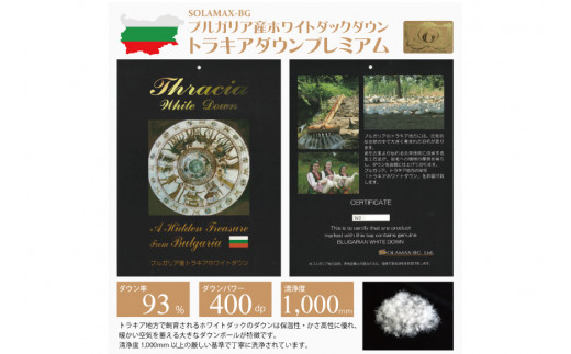 羽毛布団 シングル 冬用 掛け布団 本掛け 冬 ブルガリア産 ホワイトダックダウン 93％ 1.3kg 400dp 80番手サテン (エリーヌブルー 青 柄 ) 羽毛掛け布団 ダウンケット 羽毛 布団 羽毛ふとん 本掛け布団 5つ星 ロイヤルゴールドラベル [川村羽毛 山梨県 韮崎市 20743610]
