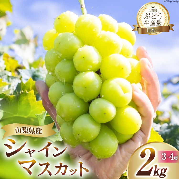 【2026年発送】先行受付 シャインマスカット 山梨 予約 約 2kg 3〜 4房 厳選 フルーツ大国 山梨県 産地直送 フルーツ 果物 マスカット シャイン 先行予約 ブドウ ぶどう 葡萄 種無し 2キロ 数量限定 山梨県産 [OUTTA REACH JAPAN 山梨県 韮崎市 20742972]