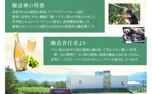 ワイン 甲州オランジュ･グリ スパークリング [本坊酒造株式会社マルス穂坂ワイナリー 山梨県 韮崎市 20745330] Wine わいん お酒 酒 スパークリングワイン オレンジワイン 甲州 山梨ワイン