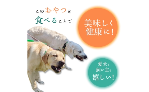 ドッグフード 無添加 FUJIDOG さつまいも入り鹿肉チップス100g [FUJIDOG 山梨県 韮崎市 20745303] 高タンパク 低脂肪 10%以下 低脂質 犬のおやつ 犬の餌 国産 餌 エサ