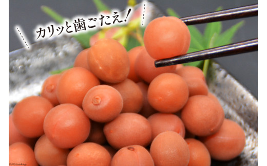 【6回 定期便 毎月】【カリカリ】甲州小梅 300g [山梨農産食品 山梨県 韮崎市 20743718] 梅干し 梅干 うめぼし 梅 小粒 小梅 カリカリ梅 国産 おやつ 