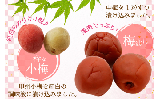 梅干し 粋な小梅 15個 & 梅恋し 10個 [山梨農産食品 山梨県 韮崎市 20743521] 梅干 うめぼし 個包装 食べ比べ 梅 漬物 つけもの おやつ  おつまみ 熱中症予防