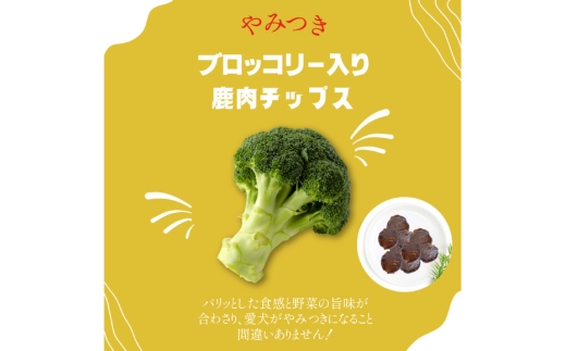 ドッグフード 無添加 FUJIDOG ブロッコリー入り鹿肉チップス 100g [FUJIDOG 山梨県 韮崎市 20745302] 高タンパク 低脂肪 10%以下 低脂質 犬のおやつ 犬の餌 国産 餌 エサ