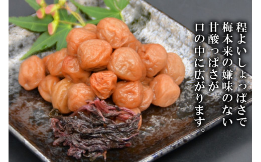 【塩分11％】しそ風味 干し小梅 600g×1 [山梨農産食品 山梨県 韮崎市 20743186] 梅干し 梅干 うめぼし 梅 小粒 小梅 国産 しそ