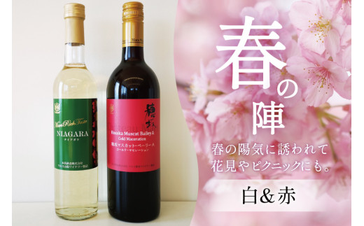ワイン 赤 白 おまかせ マルスワイン 2本セット ソムリエ セレクト 日本ワイン 〜春の陣〜 赤ワイン 白ワイン 辛口 春のワイン シャトーマルス 山梨ワイン Wine わいん お酒 酒 山梨  山梨県 洋酒 果実酒 季節のワイン [本坊酒造 マルス穂坂ワイナリー 山梨県 韮崎市 20743117] 