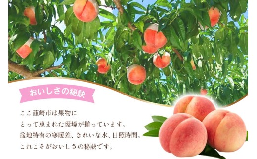 【2026年発送】訳あり 桃 もも 白鳳 or 白桃 3号 約2.2kg (6〜10玉) モモ 果物 フルーツ 山梨 期間限定 季節限定 冷蔵 農福連携  [斎庵 山梨県 韮崎市 20745277]