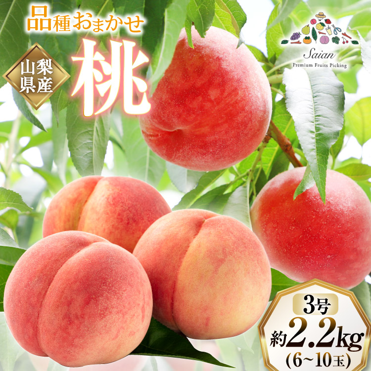 【2026年発送】訳あり 桃 もも 白鳳 or 白桃 3号 約2.2kg (6〜10玉) モモ 果物 フルーツ 山梨 期間限定 季節限定 冷蔵 農福連携  [斎庵 山梨県 韮崎市 20745277]