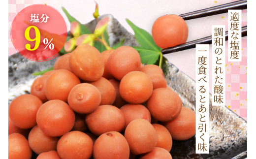 梅干 梅干し カリカリ梅 甲州小梅 300g 小梅うめぼし 梅 小粒 カリカリ小梅 国産 減塩 熱中症予防 お弁当 おにぎり おむすび 送料無料 [山梨農産食品 山梨県 韮崎市 20743178]