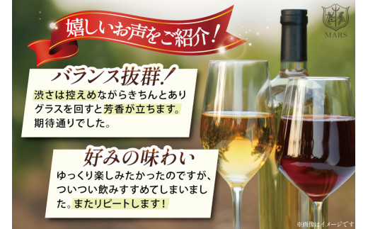 ワイン 赤 スパークリング おまかせ マルスワイン2本セット 〜冬の陣〜 [本坊酒造 マルス穂坂ワイナリー 山梨県 韮崎市 20742335] 赤ワイン スパークリングワイン 長期熟成 冬のワイン シャトーマルス