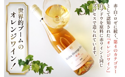 【JWC2022銀賞受賞】 ワイン 白 やや辛口 甲州オランジュ･グリ 750ml 1本 甲州 オレンジワイン 白ワイン 日本ワイン 山梨ワイン  山梨 国産 洋酒 アルコール度 12％ 果実酒[本坊酒造 マルス穂坂ワイナリー 山梨県 韮崎市 20743120]