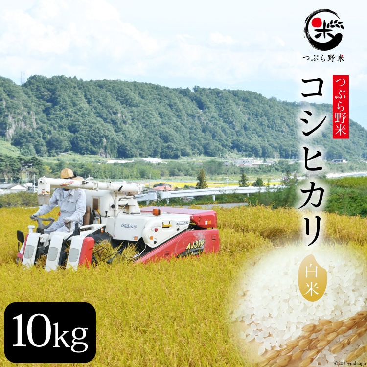 米 令和8年 つぶら野米 コシヒカリ 白米 10kg [つぶら野米 山梨県 韮崎市 20743369] こめ コメ お米 精米 こしひかり