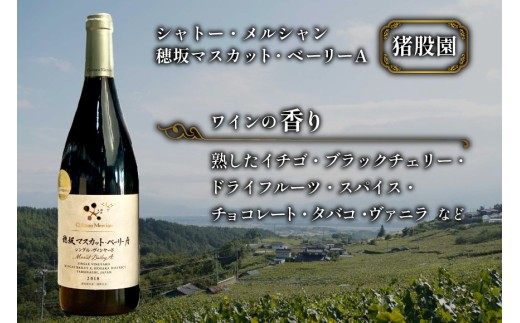 ワイン 定期便 赤 フルボディ 赤ワイン セット山梨ワイン 日本ワイン 穂坂マスカット・ベーリーＡ シングル・ヴィンヤード 750ml 2種 12回 酒 ワイン わいん wine 洋酒 果実酒  飲料 アルコール度 12% 送料無料 [シャトー・メルシャン 勝沼ワイナリー 山梨県 韮崎市 20743314]